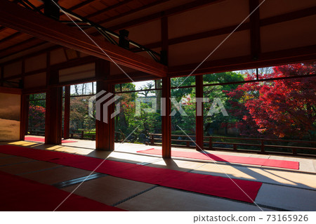 Shoden Eigenin的秋葉，京都的Kenjinji寺塔寺 73165926