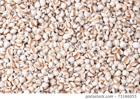 Close up top view Jobs tear (Adlay millet or pearl millet) background 73166055