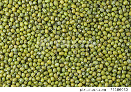Close up Mung beans or Vigna radiata seeds top view background Close up Mung beans or Vigna radiata seeds top view background 73166080