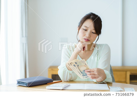 家庭主婦的家庭管理形象 73166879