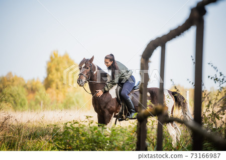On a warm autumn day, a young girl went out to ride her mare on horseback around the farm 73166987
