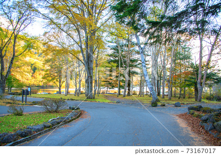 Marunuma Lakeside Autumn Autumn Leaves Autumn Scenery 73167017