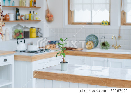 Kitchen foliage plants 73167401
