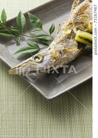 Grilled barracuda 17 73167467