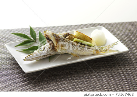 Grilled barracuda 18 73167468