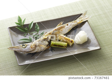 Grilled barracuda 4 73167481