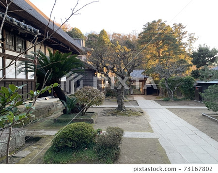 圓花寺花園 73167802