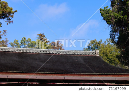 The roof of the roof The roof of the roof 73167999