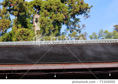 The roof of the roof The roof of the roof 73168000