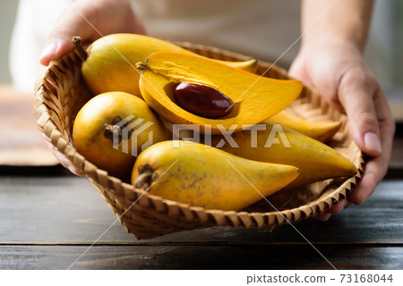 Eggfruit or canistel in a basket holding by hand, Thai fruit 73168044