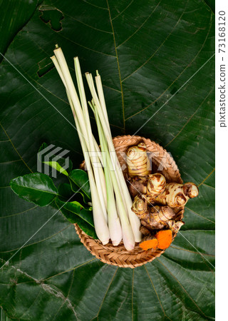 Fresh organic Thai spices (lemon grass, galangal, kaffir lime leaf and turmeric) 73168120