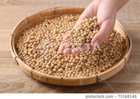 Soybeans seed holding by hand on bamboo tray 73168148