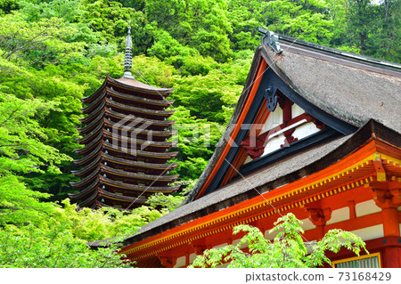Shirasan shrine of the fresh green Shirasan shrine of the fresh green 73168429