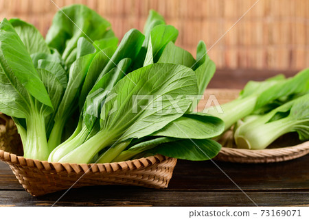 Fresh Bok Choy or Pak Choi (Chinese cabbage) in bamboo basket Fresh Bok Choy or Pak Choi (Chinese cabbage) in bamboo basket 73169071