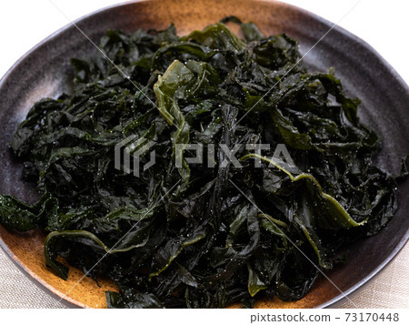 海藻海藻 海藻海藻 73170448