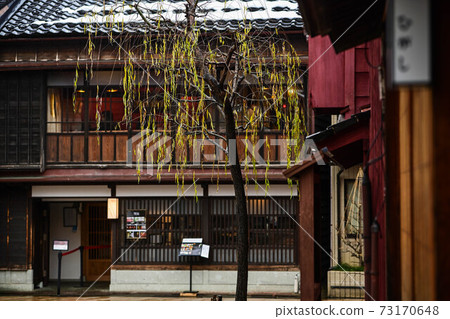 Winter in the rainy Higashi Chaya district 73170648