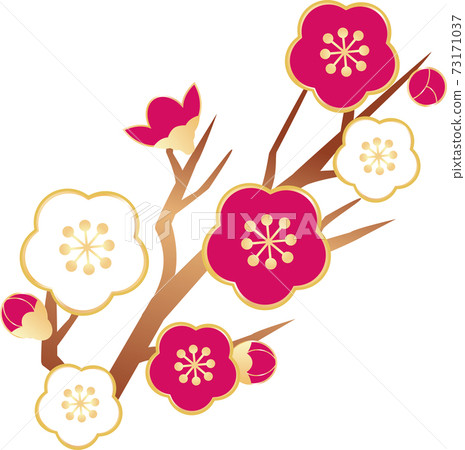 Ume Ume Hana春天插圖素材 73171037