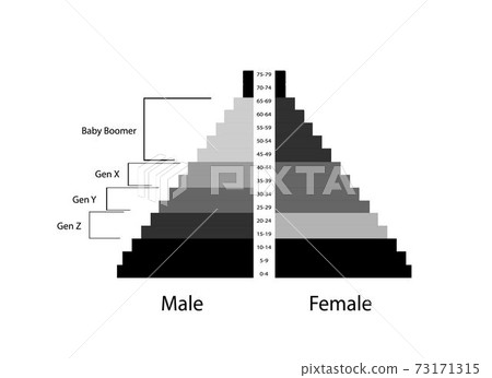 The Population Pyramids Graphs with 4 Generation The Population Pyramids Graphs with 4 Generation 73171315