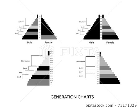 The Population Pyramids Graphs with 4 Generation 73171329