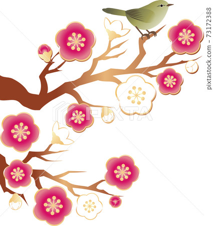 Uguisu Ume Ume Hana Spring Illustration Material 73172388