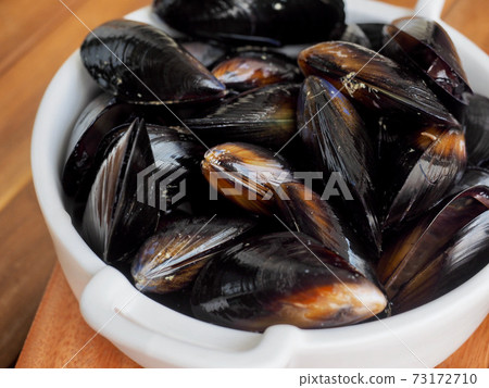 新鮮貽貝,食品配料,貝類 新鮮貽貝,食品配料,貝類 73172710