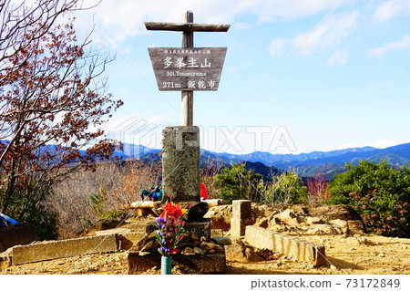 伊野T峰主山峰 73172849