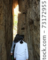 Narrow gate, narrow road 73172955