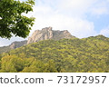 The greenery of Wolchulsan 73172957