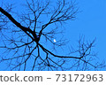 Look 73172963