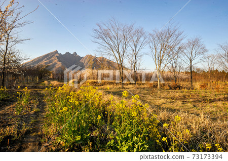 麻生的櫻花和Neko山的風景 麻生的櫻花和Neko山的風景 73173394