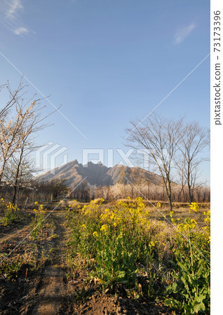 麻生的櫻花和Neko山的風景 麻生的櫻花和Neko山的風景 73173396