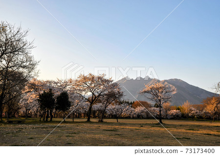 Scenery of cherry blossoms blooming in Aso and Mt. Neko Scenery of cherry blossoms blooming in Aso and Mt. Neko 73173400