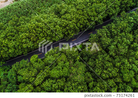 Aerial view green mountain forest with rural road Aerial view green mountain forest with rural road 73174261