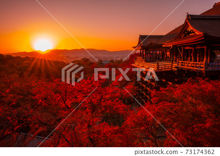 Kyoto dusk Kiyomizu Temple Kiyomizu stage and autumn leaves Kyoto dusk Kiyomizu Temple Kiyomizu stage and autumn leaves 73174362