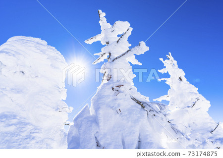 Yamagata Zao's tree ice and blue sky Yamagata City, Yamagata Prefecture 73174875