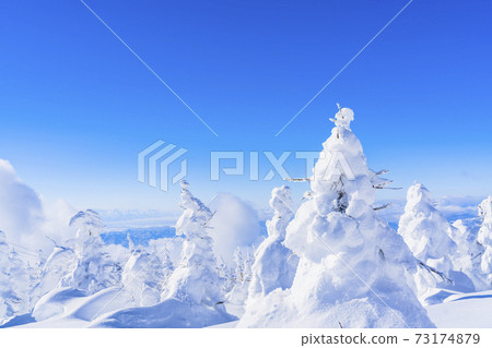 Yamagata Zao's tree ice and blue sky Yamagata City, Yamagata Prefecture 73174879