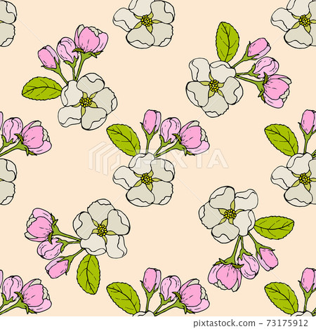 Seamless pattern with apple flowers - Stock Illustration [73175912] - PIXTA