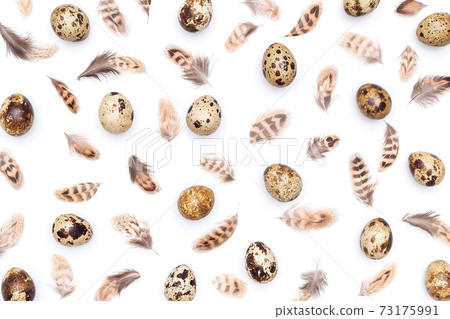 Pattern made with quail eggs and bird feathers on a white background. Top view Flat lay Pattern made with quail eggs and bird feathers on a white background. Top view Flat lay 73175991