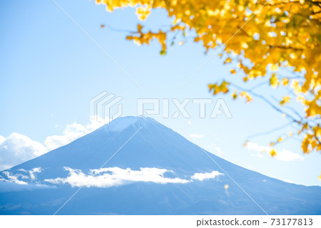 Fuji Mountain in Autumn season Fuji Mountain in Autumn season 73177813