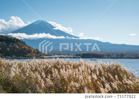 Mount Fuji at Lake Kawaguchi, Japan Mount Fuji at Lake Kawaguchi, Japan 73177822