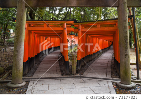 Fushimi Inari shrine in Kyoto, Japan 73177823