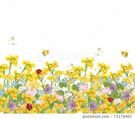 Spring Landscape With Insects Spring field and insect landscape watercolor... - Stock Illustration ...