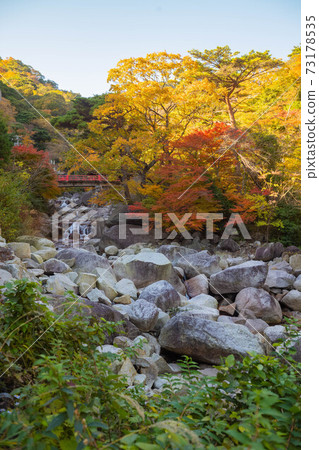 Okomoto 73178535