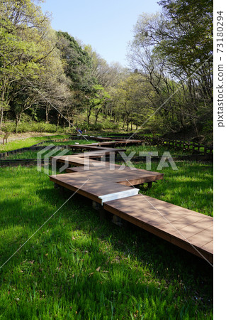 Spring Park "Kanagawa Prefectural Shikinomori Park" Shobuen Boardwalk 73180294