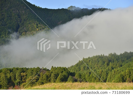 [Mihama Town, Mie Prefecture] Grated Fuden 73180699