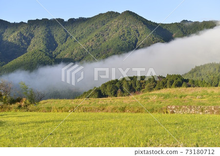 [Mihama Town, Mie Prefecture] Grated Fuden 73180712