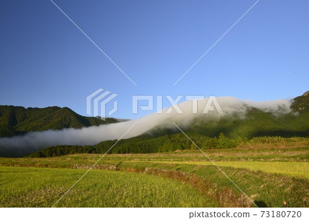 [Mihama Town, Mie Prefecture] Grated Fuden 73180720