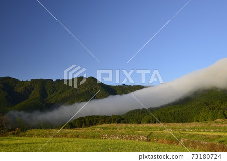 [Mihama Town, Mie Prefecture] Grated Fuden 73180724