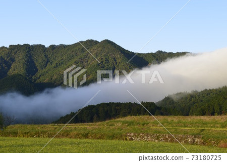 [Mihama Town, Mie Prefecture] Grated Fuden 73180725