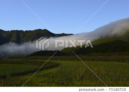 [Mihama Town, Mie Prefecture] Grated Fuden 73180728